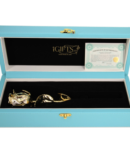 Gold Rose in Tiffany Blue Giftbox.