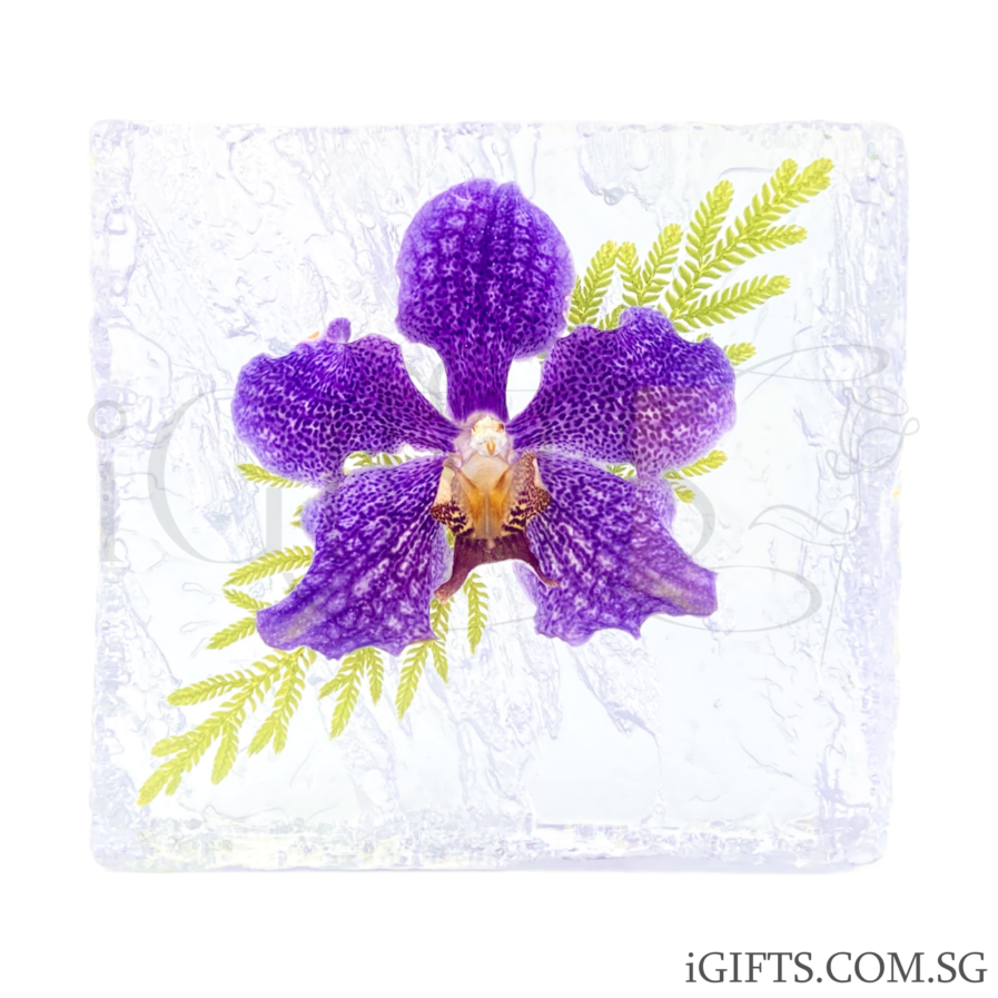 Papilionanda Chao Praya Violet Orchid Crystal