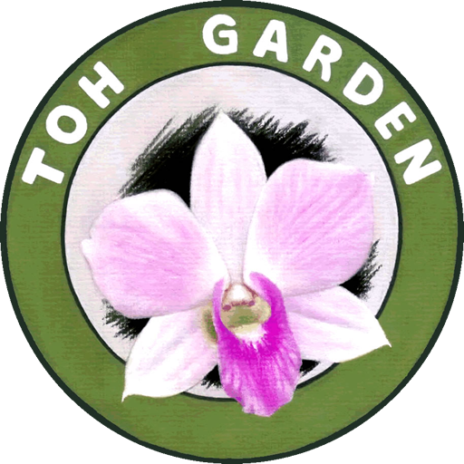 Toh Garden