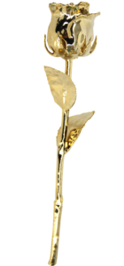 Gold Rose