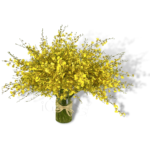 Golden Shower Flower Arrangement