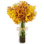 Yellowish Orchids Arrangement