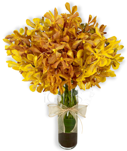 Yellowish Orchids Arrangement